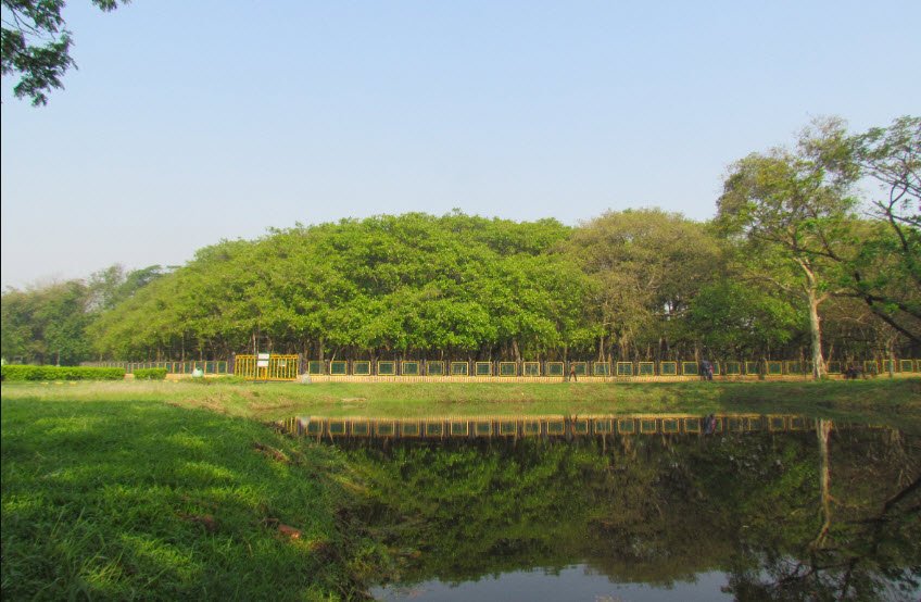 Acharya Jagadish Chandra Bose Indian Botanic Garden, Howrah, West Bengal, India
